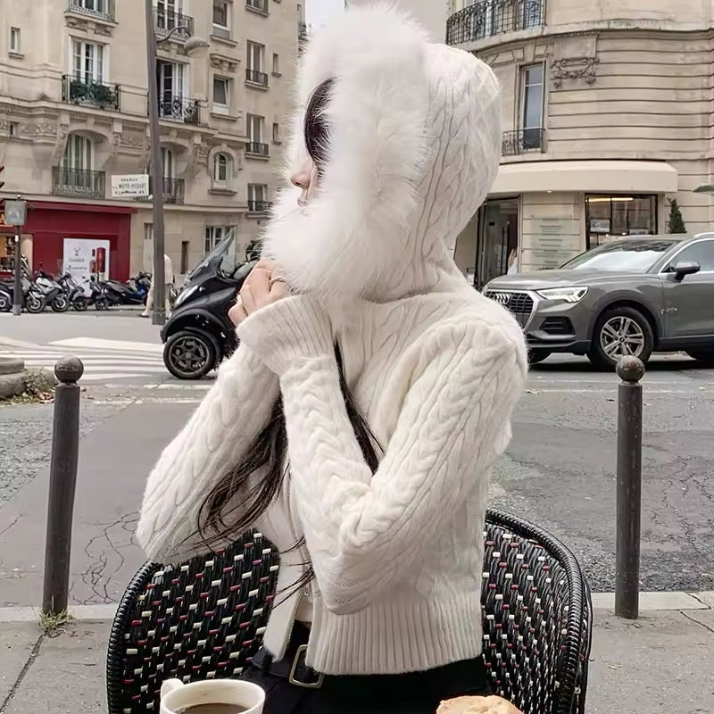 Korean fashion winter zip hoodie

