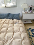 Bedroom with beige comforter, blue pillows, and a nightstand with a lamp and mug.